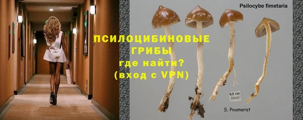 дмт Арсеньев
