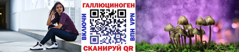 Псилоцибиновые грибы Psilocybe  Канаш 