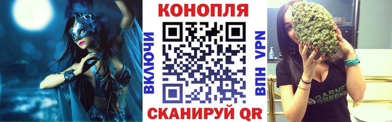 Бошки марихуана конопля  Канаш 